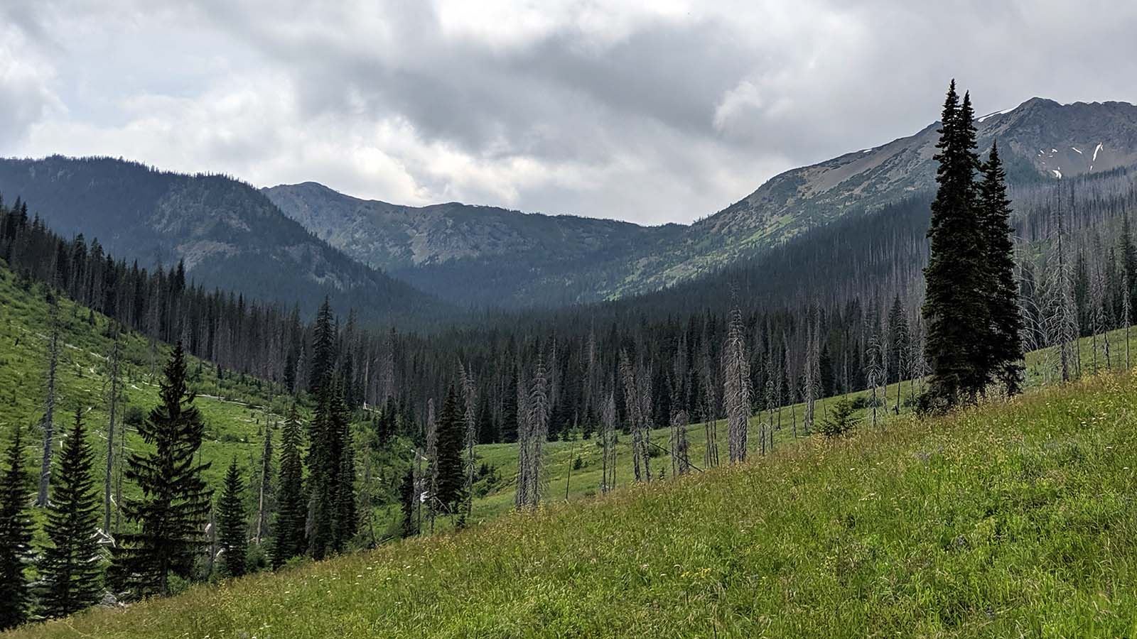 Trout Creek — Washington Trails Association